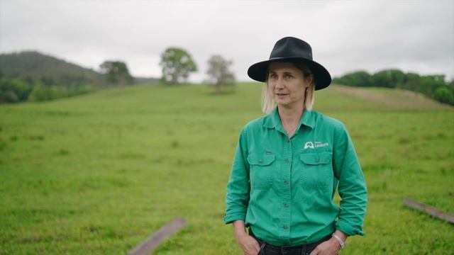 Paddocks to pastures using the Soilkee Renovator, multispecies pastures and rotational grazing смотреть онлайн