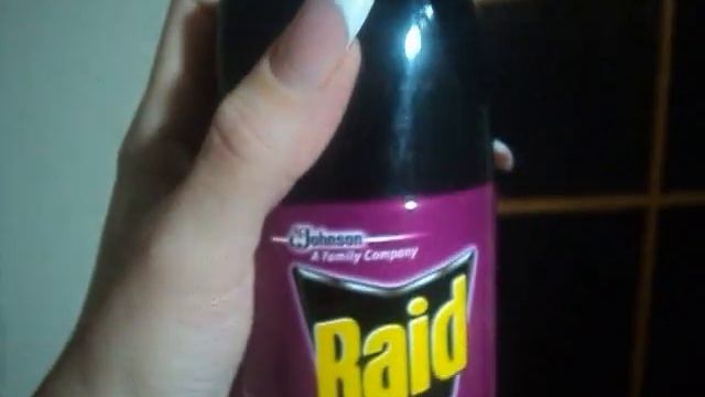 Аэрозоль Raid Против летающих и ползающих насекомых смотреть онлайн