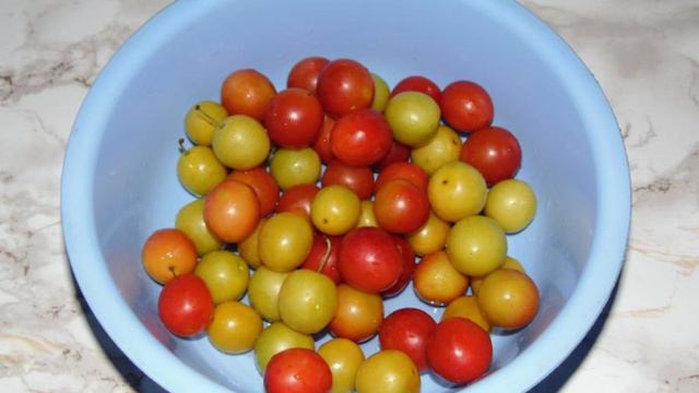 1000 и 1 рецепт