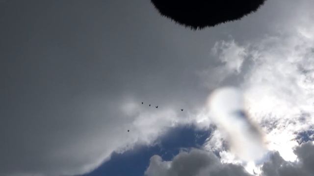 голуби 06.06.21г. смотреть онлайн