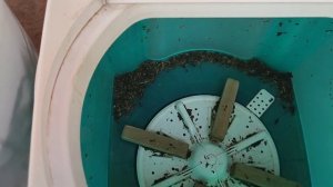 Машина для скручивания иван чая. дешево и сердито.