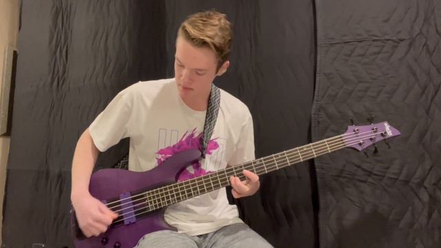 Japanese Breakfast - Slide Tackle (Bass Cover) смотреть онлайн