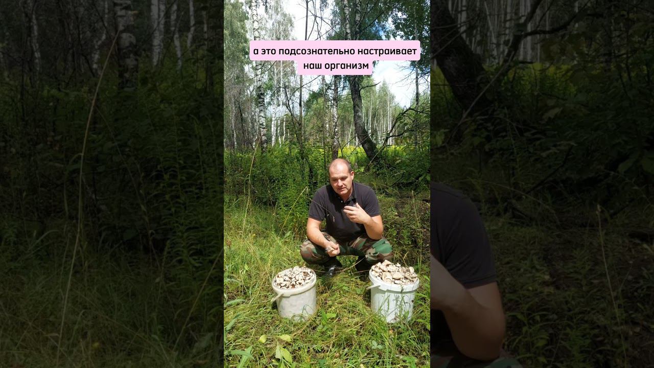 Как принимать правильные решения #таймменеджмент #гнездиловдмитрий #психология смотреть онлайн