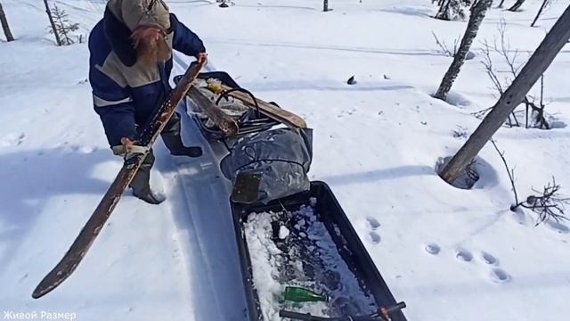 Приехали на рыбалку, а там такое ?? смотреть онлайн