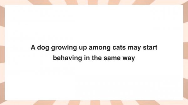 BRAINY GAMES #1 | Puzzle Game | Brain Training