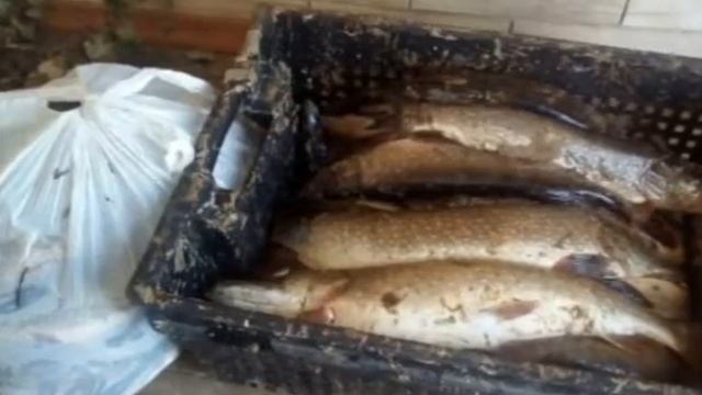 Баня на воде( Руслан Ведерников) ЛЕТО 2016(экотуризм). смотреть онлайн