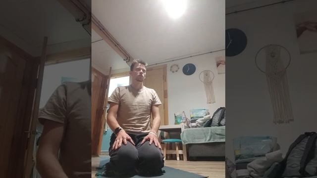 ☀️ Сурья Намаскар.? Мантра ОМ.? Дыхательная практика.Цель: сделать 90 есть 43.Октябрь 12 благо +1 смотреть онлайн