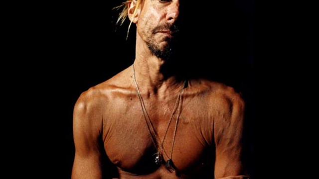Iggy Pop - Private Hell (2003) смотреть онлайн