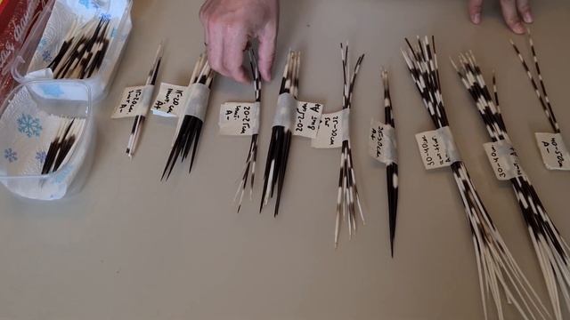 Иглы дикобраза смотреть онлайн