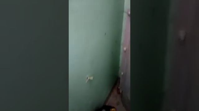 В подъезд подбросили пакет с мусором и тараканами.