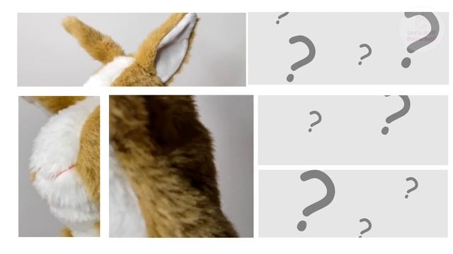 Who Do You See? - English Body Parts Guessing Game