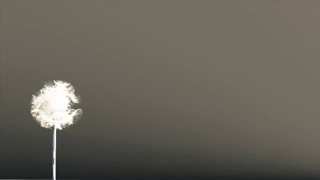 Vue 11, particle test. dandelions смотреть онлайн