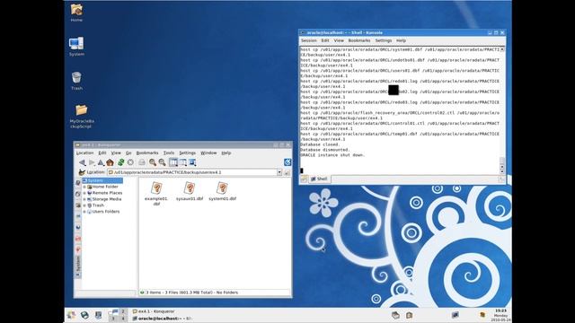 Oracle Closed Backup on Centos смотреть онлайн