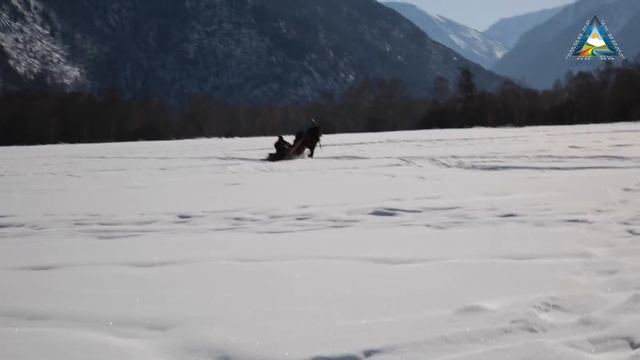Почему нужно все бросить и уехать на Алтай? смотреть онлайн