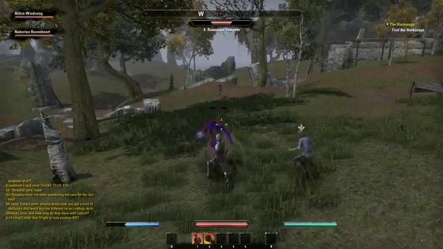 TESO Beta Redguard - 1 / 2 смотреть онлайн