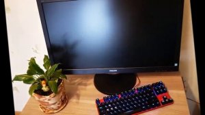 Монитор Philips 273V5LHSB