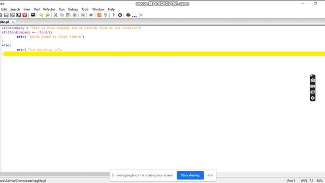 Match Regular Expression in Padre Perl смотреть онлайн