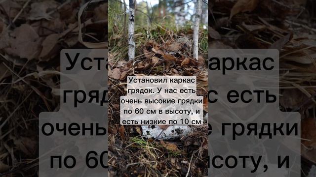 Как сделать высокие тёплые грядки с минимальными затрами смотреть онлайн