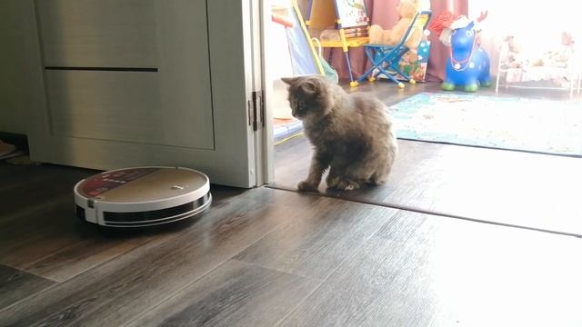 Робот - пылесос Polaris PVCR 0735 IQ Home смотреть онлайн