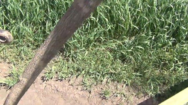 Купил вентилятор в кабину МТЗ! Первая культивация 2019 день второй! смотреть онлайн