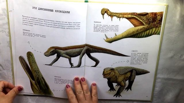 От тираннозавра к петуху! Большая книга эволюции животного мира. смотреть онлайн