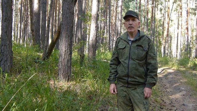 Собаки охотничьих пород Правила охоты смотреть онлайн