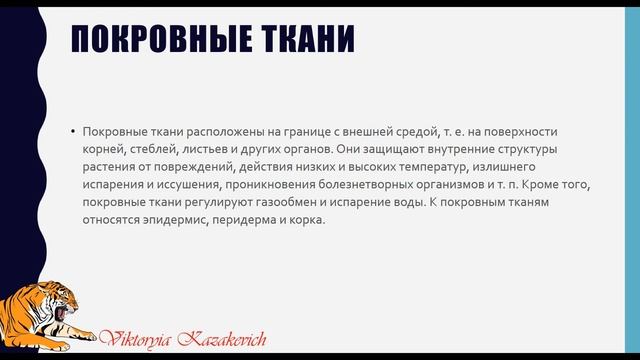 Структурная организация живых организмов смотреть онлайн