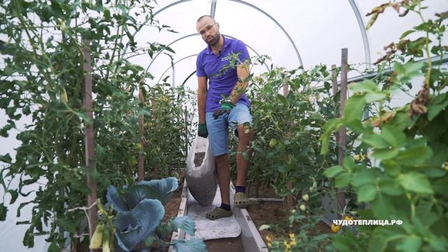 Лайфхак 2. Садовая дорожка: ГЕОТЕКСТИЛЬ И КЕРАМЗИТ смотреть онлайн