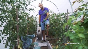 Лайфхак 2. Садовая дорожка: ГЕОТЕКСТИЛЬ И КЕРАМЗИТ