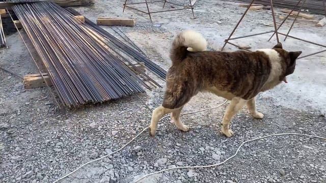 ЭКСКЛЮЗИВНЫЕ ДОМА В СОЧИ. НЕДВИЖИМОСТЬ В СОЧИ. смотреть онлайн