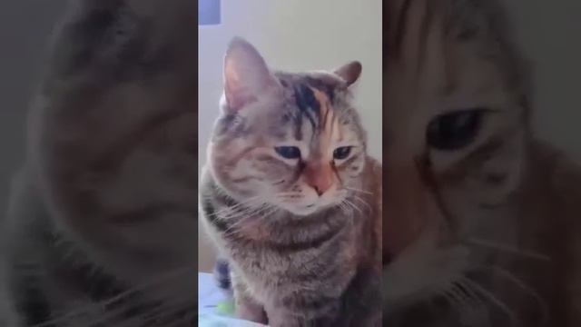 наташ-вставай.