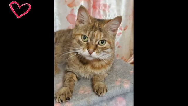 Право на жизнь смотреть онлайн