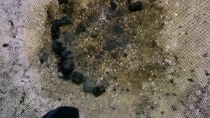 Самый простой способ осветлить воск…