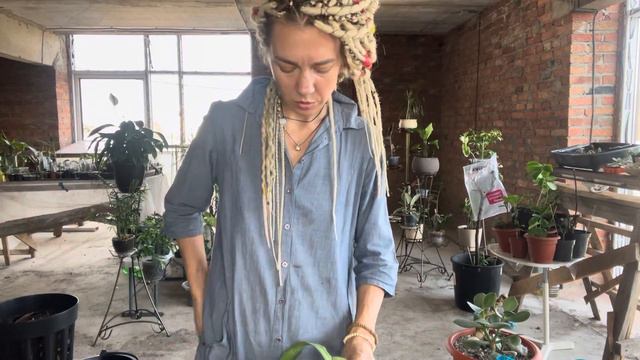 Флористический квест