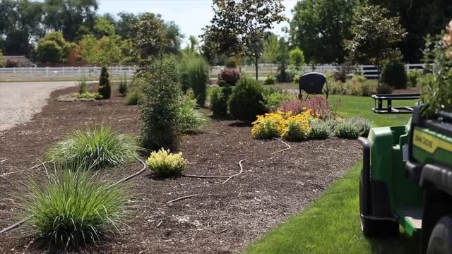 Planting Lilacs, Hydrangeas & Caryopteris! ??? // Garden Answer смотреть онлайн