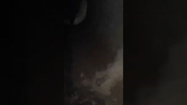 Путешествие по канализации смотреть онлайн