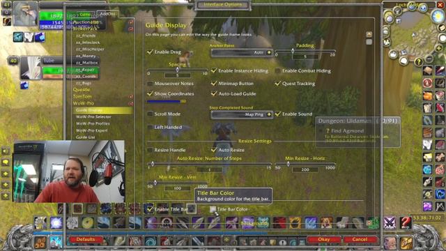 Wow Pro addon classic Leveling Guide over and discussion on the wow pro addon смотреть онлайн