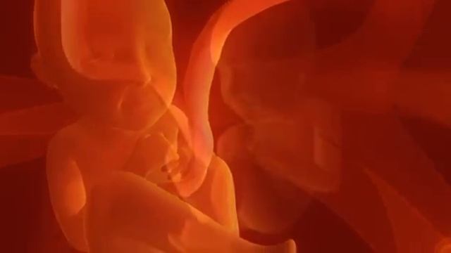 utero_muzik.flv смотреть онлайн