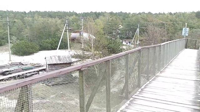 Как укрепляют дюны на Куршской косе. Пляж. Местные коты. Атмосферное  рыбацкое кафе со свежей ухой