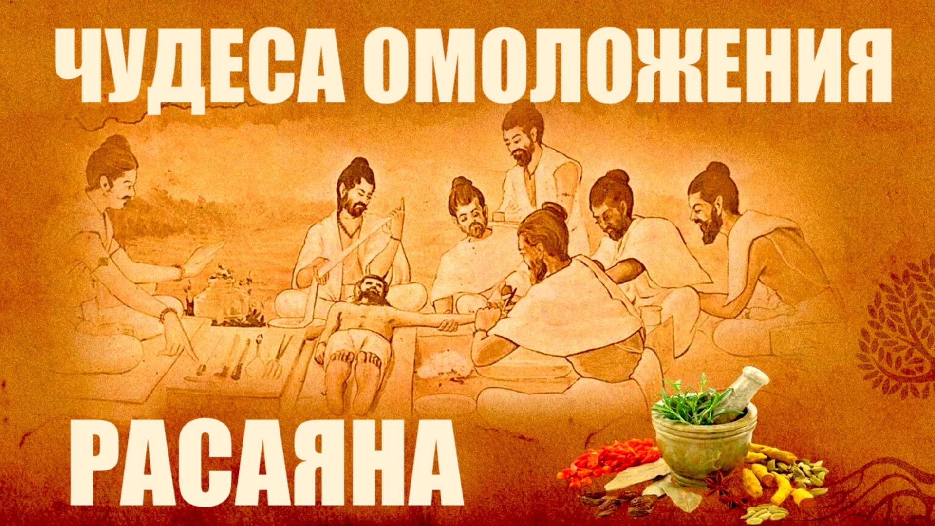 РАСАЯНА ОМОЛОЖЕНИЕ АЮРВЕДА смотреть онлайн