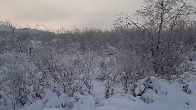 ВОРГАШОР ЗИМНЯЯ СКАЗКА смотреть онлайн