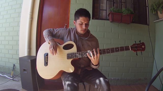 Incubus - The Warmth (Unplugged) (Bass cover) смотреть онлайн