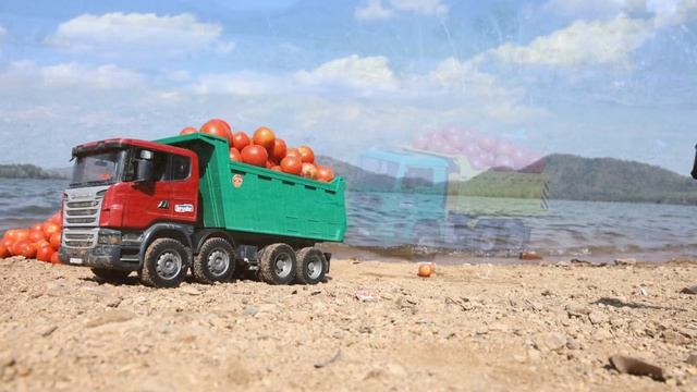 Спелые помидоры взрываются и горят смотреть онлайн