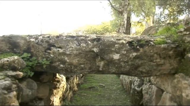 SPARTA | A VIDEO TOUR OF THE CONTEMPORARY CITY смотреть онлайн