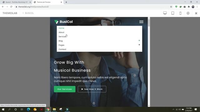 Busicol: Portfolio Bootstrap HTML Template смотреть онлайн