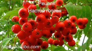 Как снизить холестерин без лекарств