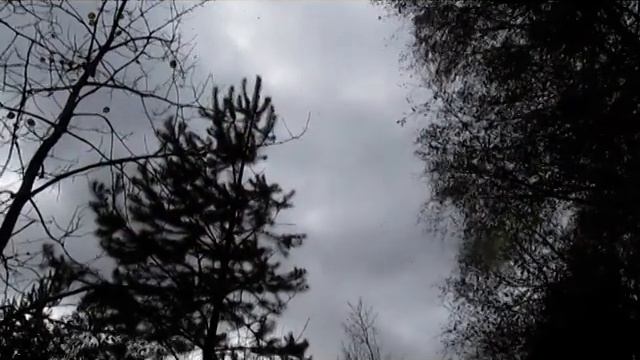 Осенние листья. Вальс. смотреть онлайн