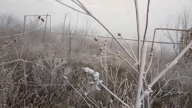 Валера на работе,зима уже рядом а дома тепло и хорошо. смотреть онлайн