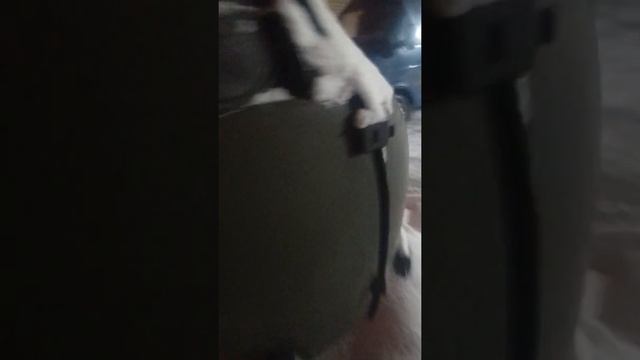 Покупка бортового УАЗ 3303 . смотреть онлайн