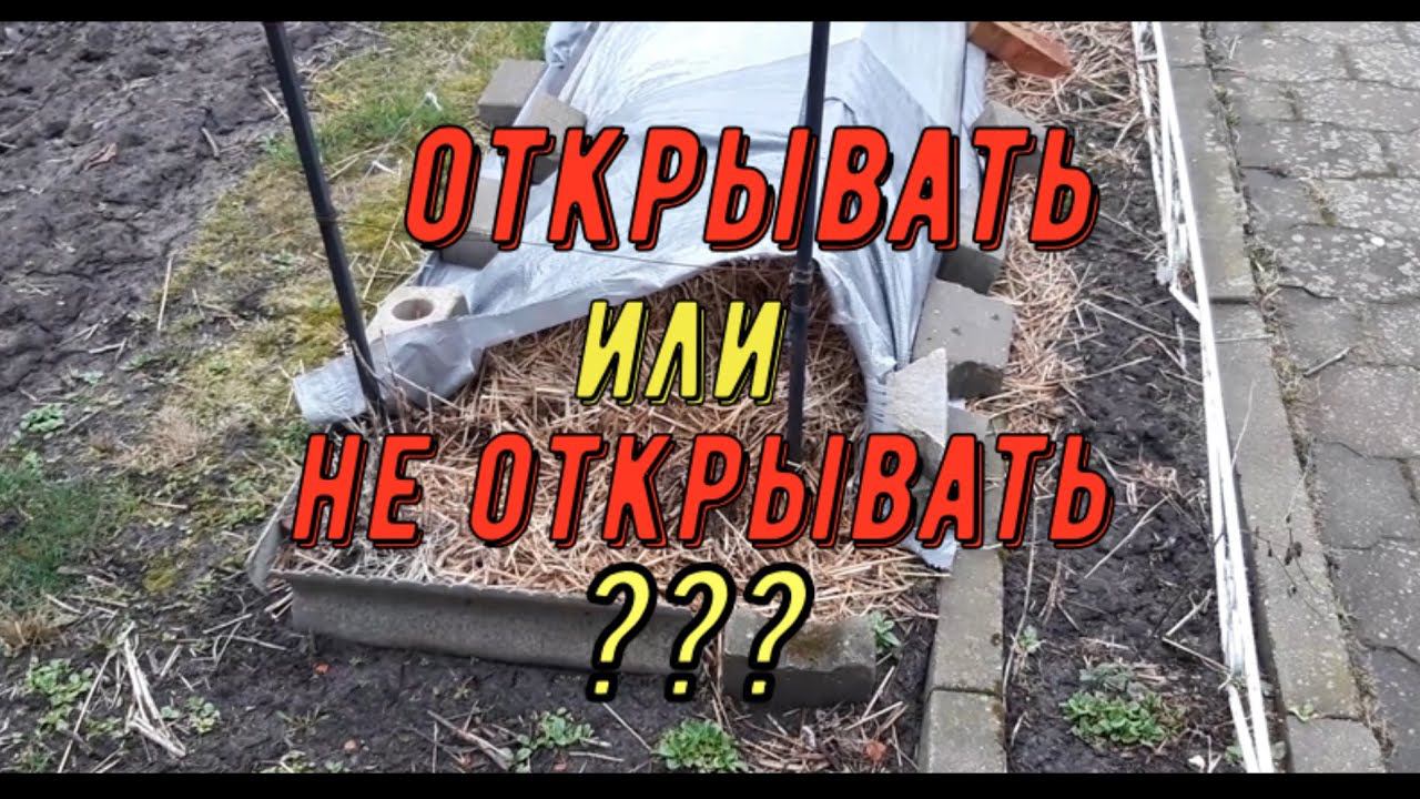 Открывать или не открывать??? Виноградник Вадима Точилина смотреть онлайн